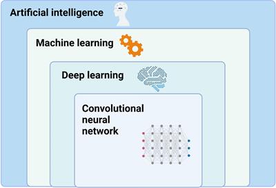 Research progress on deep learning in magnetic resonance imaging–based diagnosis and treatment of prostate cancer: a review on the current status and perspectives